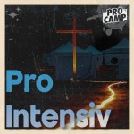 Das Danielbuch im Kanon des Alten Testaments